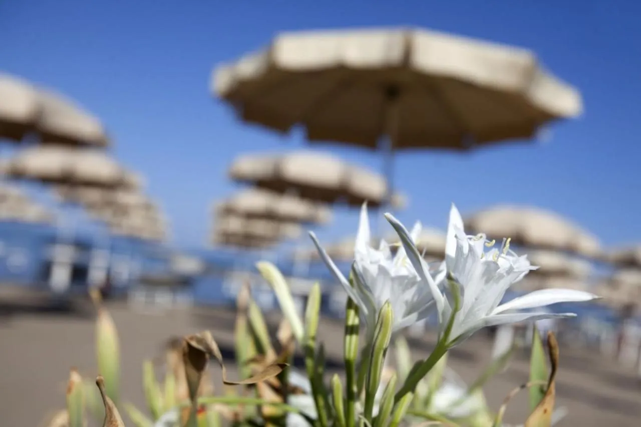 Villa Torre Saline Sotto Pineta Sul Mare Della Giannella à Albinia